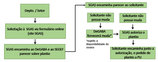 Plantio de árvores